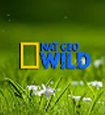 Nat geo wild